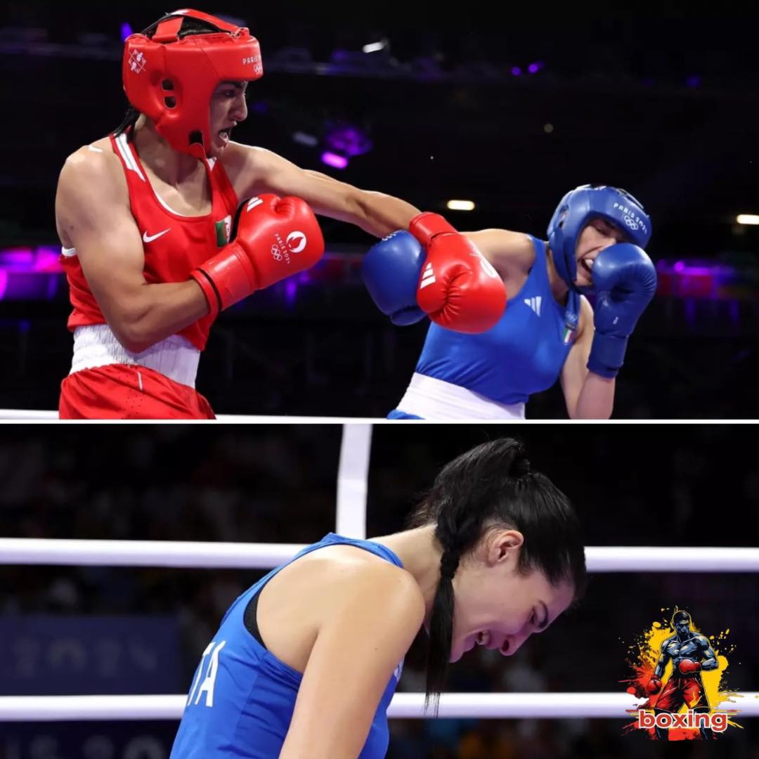 'IOC knows that two boxers Algeria and Taipei are south, but still play at the Paris Olympic Games' - Photo 4