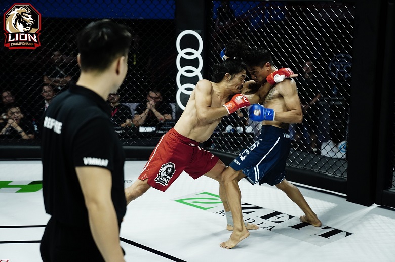 Why is MMA just hitting and locking? (Part 2) - Photo 5