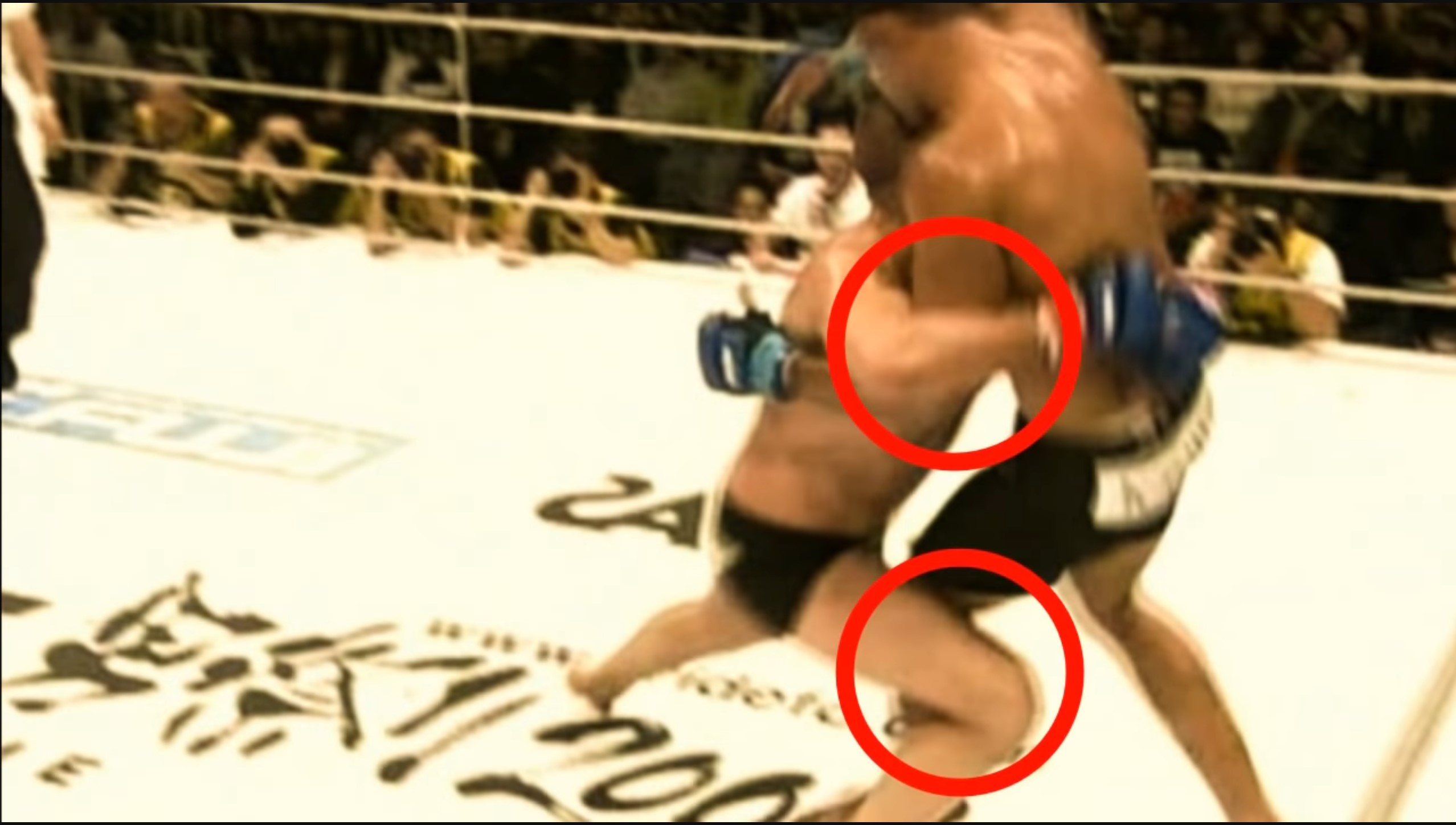 Why is MMA just hitting and locking? (Part 1) - Photo 6