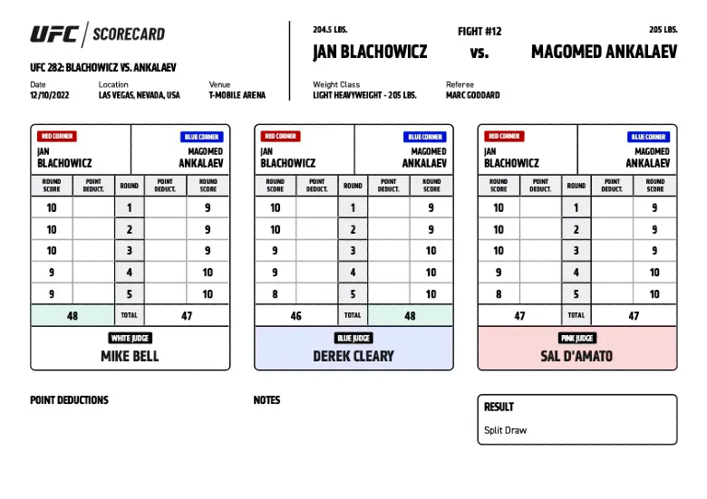 UFC 282: Blachowicz vs Ankalaev: Who has marked Poland? - Photo 2