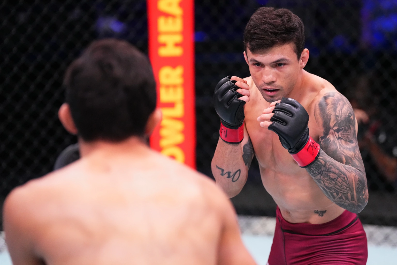 Who are 4 new boxers signed by UFC in November 2022? - Photo 3