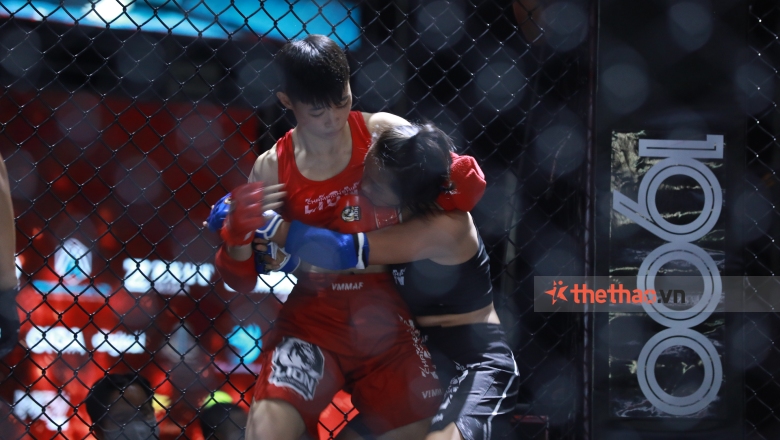 What pairs will take place at the Lion Championship final? - Photo 3