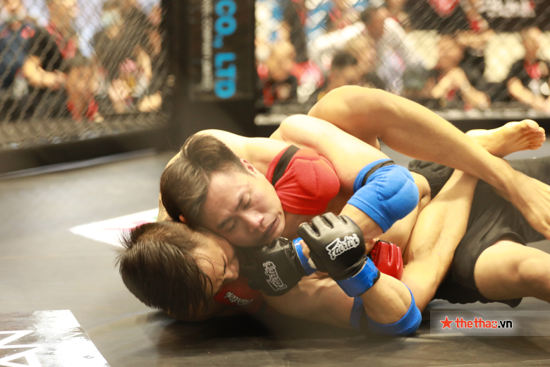 The southern qualifying round of the MMA Lion Championship takes place in 2 days - Photo 3