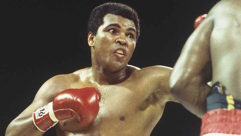 Top 5 Best heavy boxing boxes of all time - Photo 1