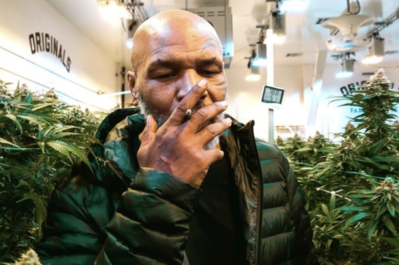 What does Mike Tyson say about marijuana addiction, opium? - Photo 1