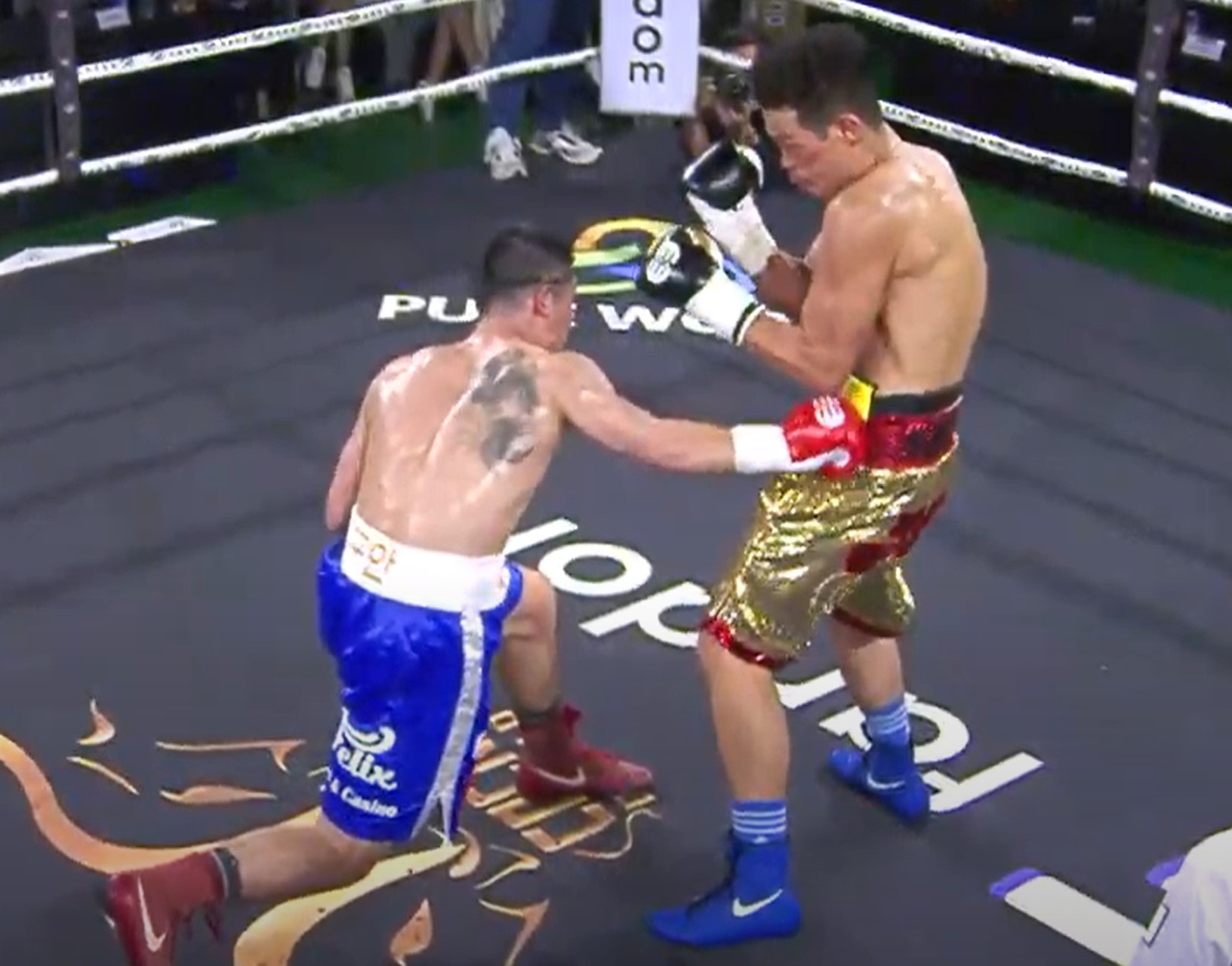 The event of WBO belt: Dinh Hong Quan Ha Knockout Korean opponent in the second half - Photo 2