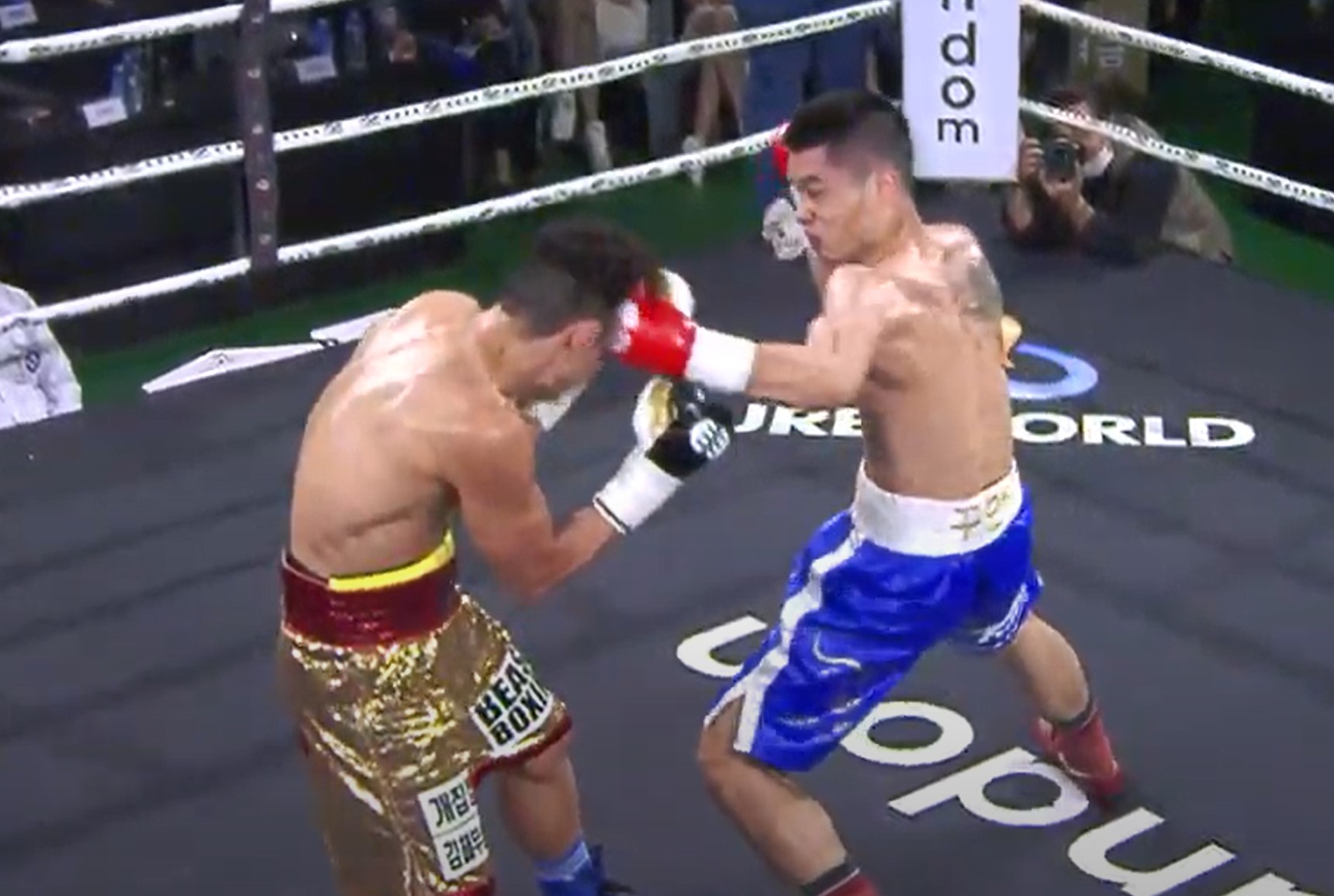 WBO Belt: Dinh Hong Quan Ha Knockout opponent in the second half - Photo 3