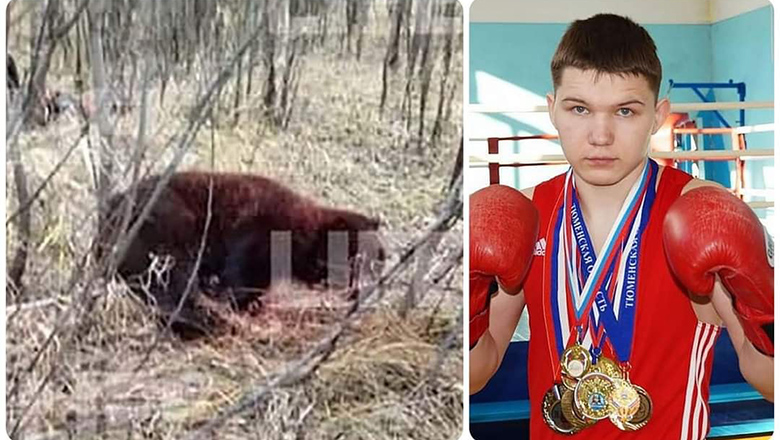 Best friends are pounced to death, the boxing champion is determined to live with wild bears - Photo 1