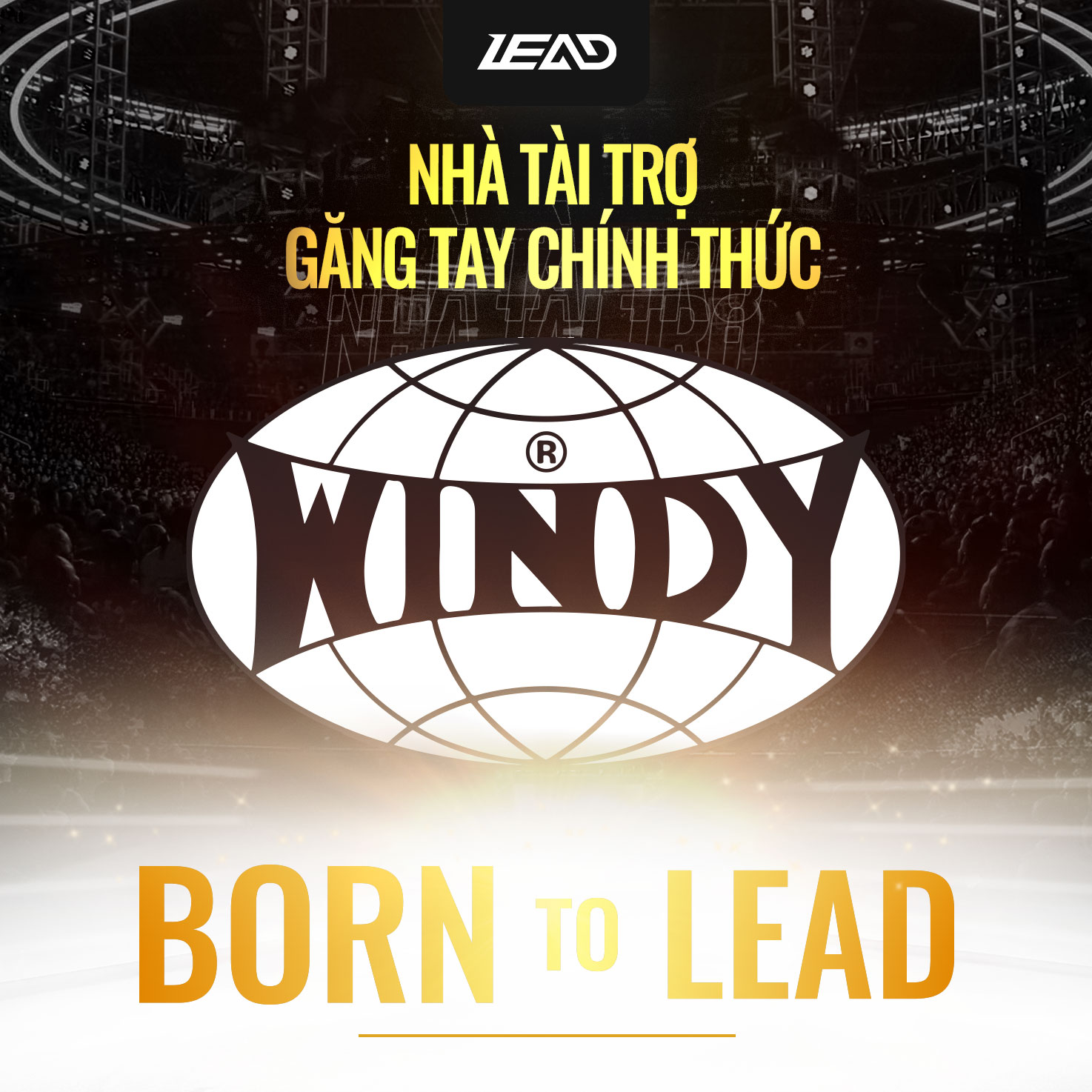 Boxing Lead: Born to Lead has a 'genuine' sponsor - Photo 1