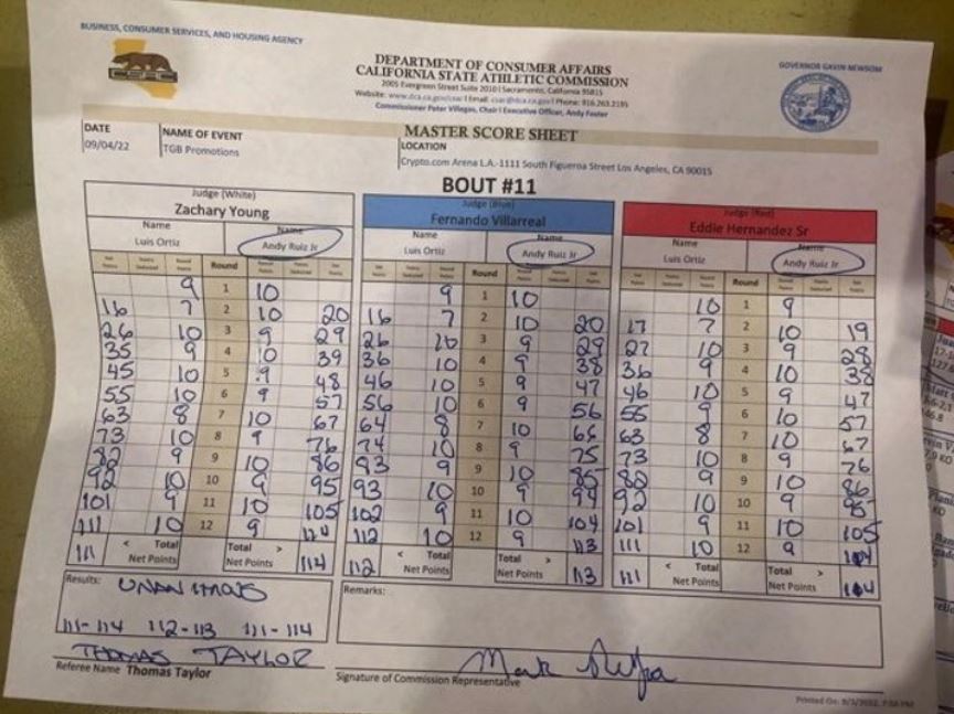 Andy Ruiz punched Luis Ortiz 3 times, won by point - Photo 1