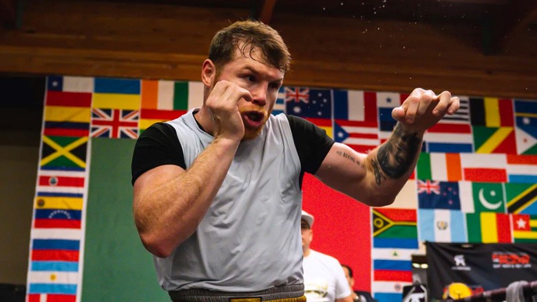 Canelo Alvarez: Caleb Plant needs one 
