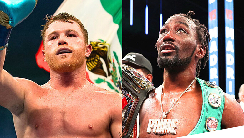 Canelo Alvarez canceled the pair with Terence Crawford - Photo 1