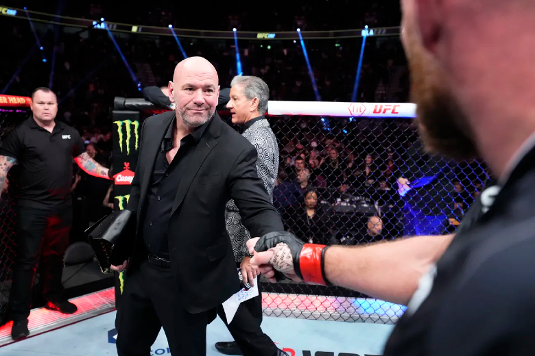 Glover Teixeira and Jamahal Hill painted Light Heavyweight at UFC 283 - Photo 1