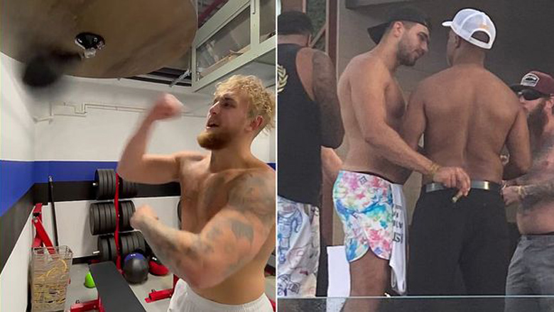 Jake Paul shows off his hard work while Tommy Fury party with Tyson Fury - Photo 2