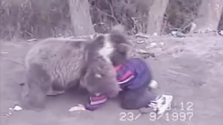 Khabib Nurmagomedov: Not only is it taught but also bite gray bears - Photo 1