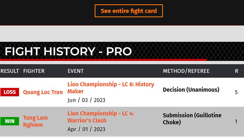 Lion Championship internationally recorded as a professional MMA tournament - Photo 1