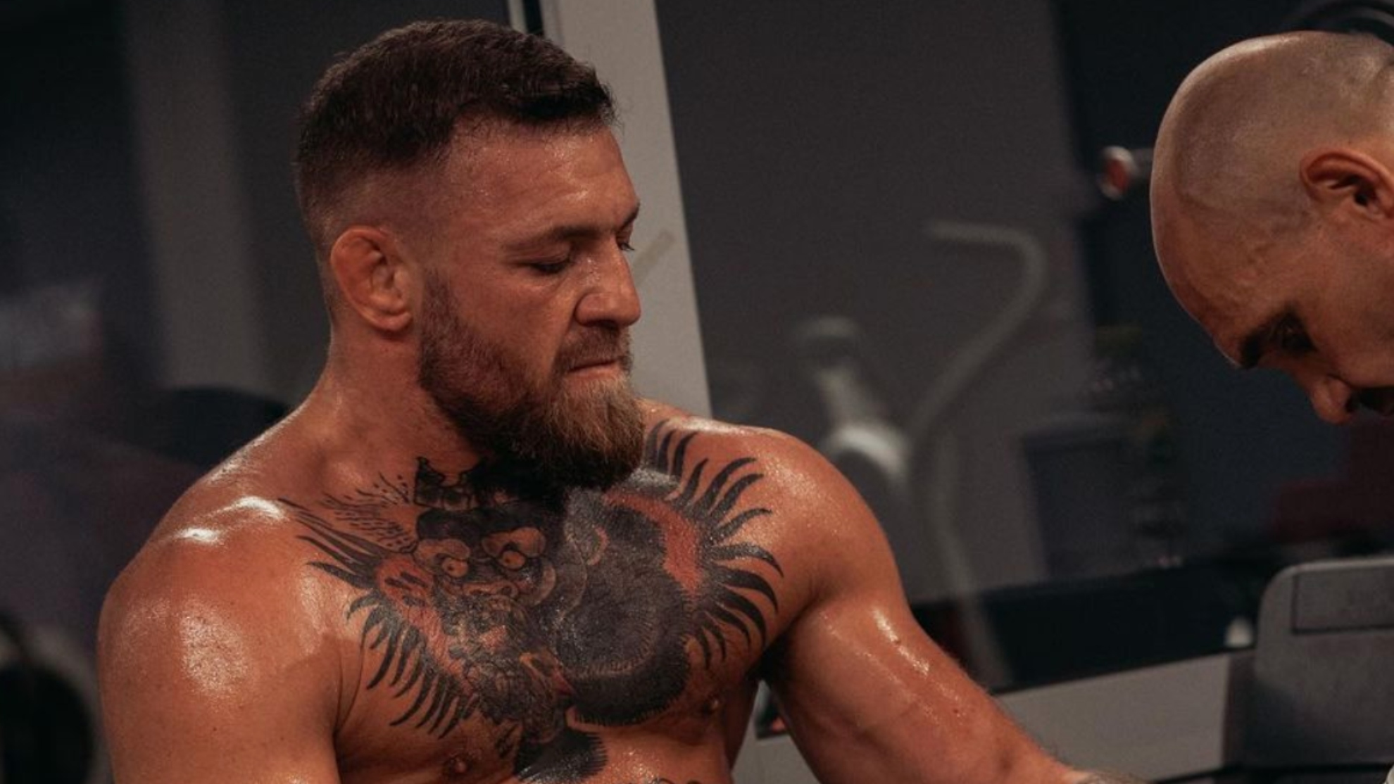 McGregor returned to the UFC arena in early autumn? - Photo 2