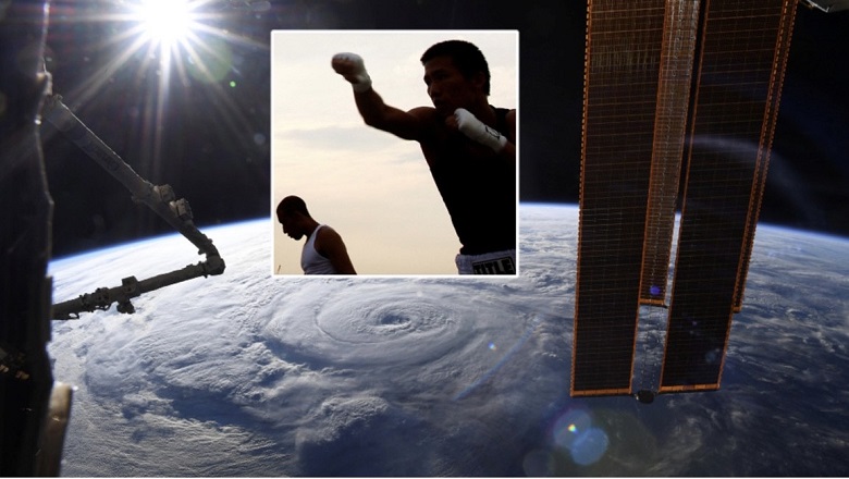 Playing MMA in the universe will come true in 2023? - Photo 1