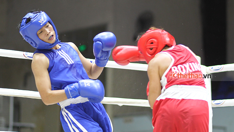 Recruiting Vietnam Boxing in Europe before the Paris Olympic Games - Photo 1