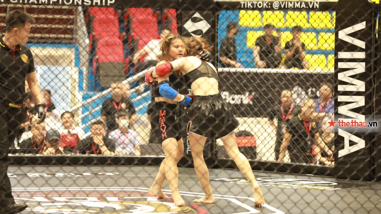 See where the quarterfinals of the MMA Vietnam Lion Championship, which channel? - Photo 1