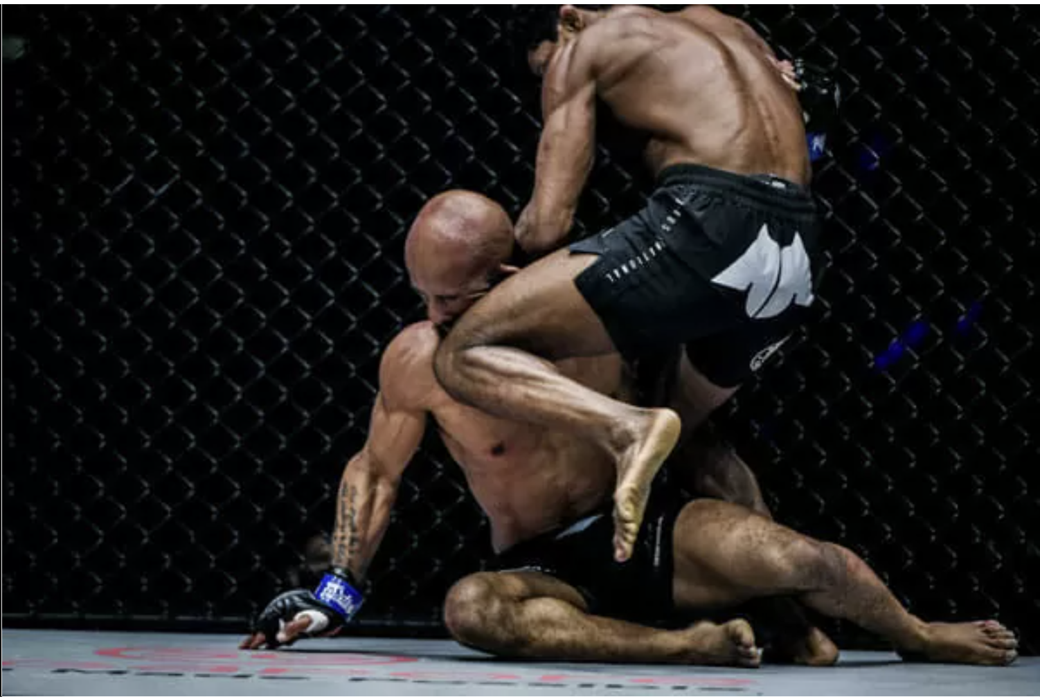 The two UFC champions have a foot in One: The difference in law makes everything? - Photo 2
