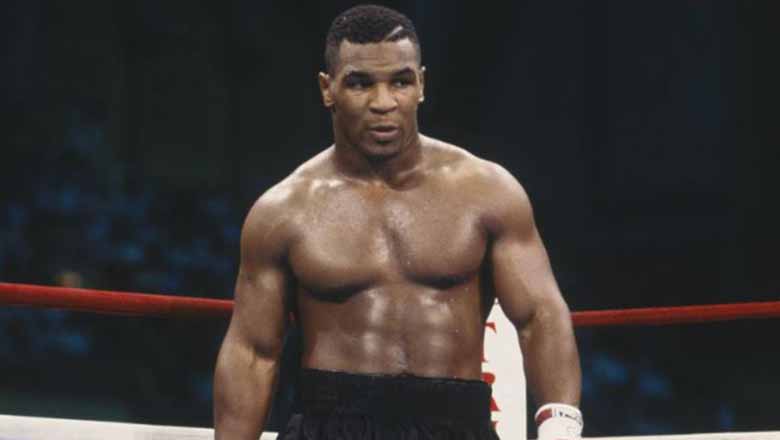 Top 5 Best heavy boxing boxes of all time - Photo 3