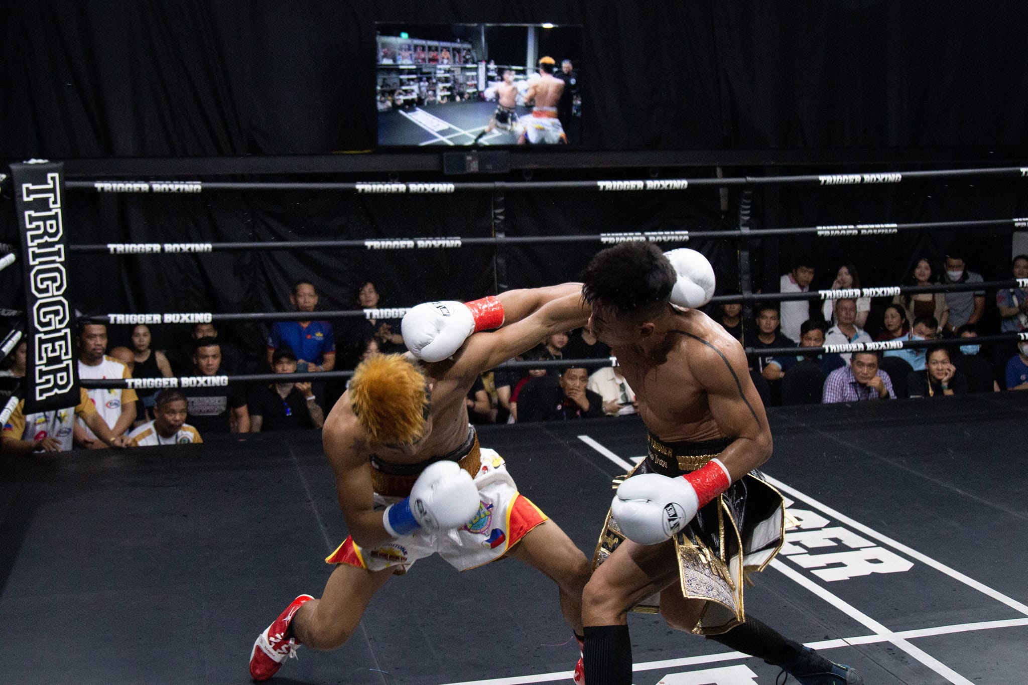 Tran Van Thao aims to challenge Naoya Inoue after the world boxing belt - Photo 1