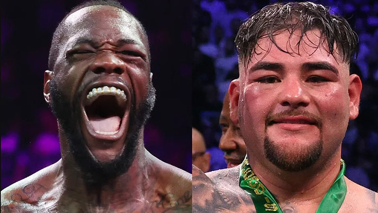Tyson Fury can confront Deontay Wilder for the fourth time for the WBC championship - Photo 1