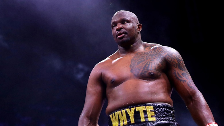 Tyson Fury will protect the WBC championship before Dillian Whyte after many evidence - Photo 1