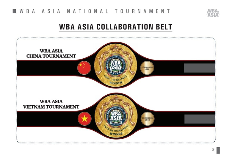 Vietnam is about to have a professional boxing prize, a picture with Chinese and Korean boxers - Photo 1