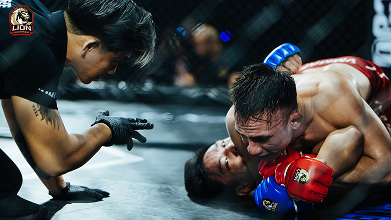 Watch live MMA Vietnam Lion Championship 11, which channel? - Photo 3