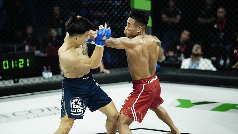 Why is MMA just hitting and locking? (Part 1) - Photo 1