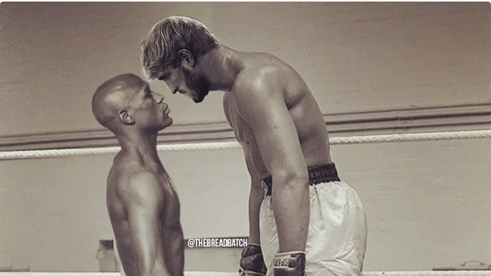History of Trash Talk: Floyd Mayweather vs Logan Paul - Photo 3