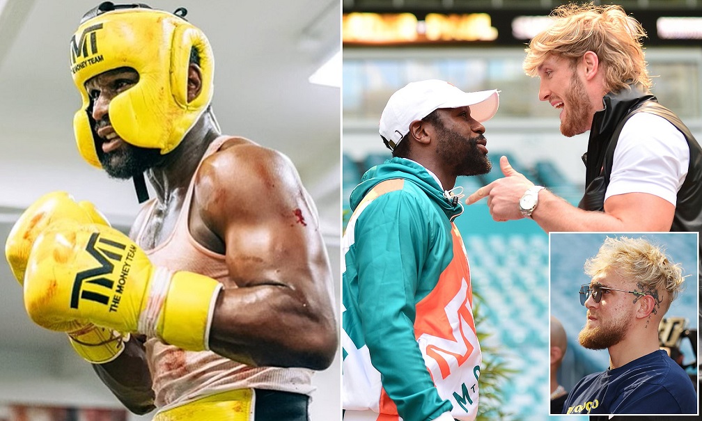 Mayweather tensed to prepare for the heroic match against Logan Paul - Photo 1