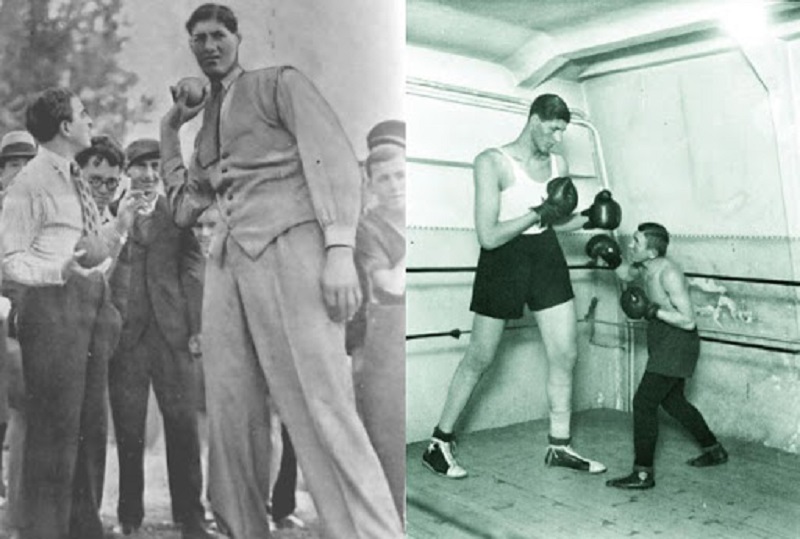 Top 8 boxers 