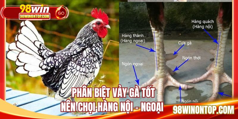 Đánh giá các loại vảy trong hàng nội - ngoại 