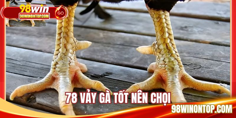 78 Vảy Gà Tốt Nên Chọi - Bật Mí Dấu Hiệu Chọn Chiến Kê