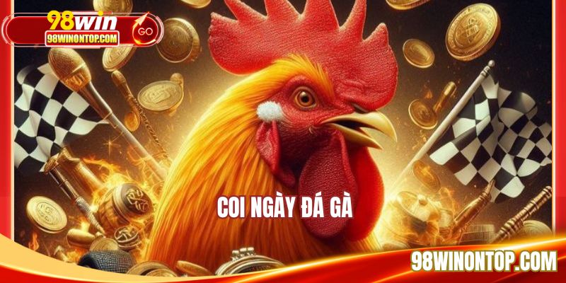Coi Ngày Đá Gà - Học Hỏi Bí Quyết Dân Gian Bất Bại