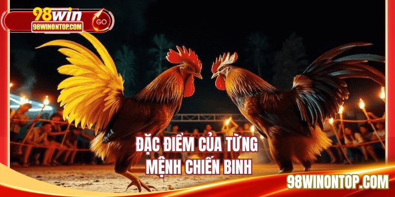 Đặc điểm của từng mệnh chiến binh