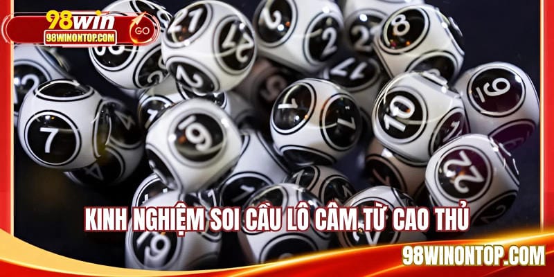 Kinh nghiệm soi cầu lô câm từ cao thủ