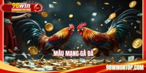 Màu Mạng Gà Đá - Yếu Tố Quyết Định Thành Bại Trong So Tài