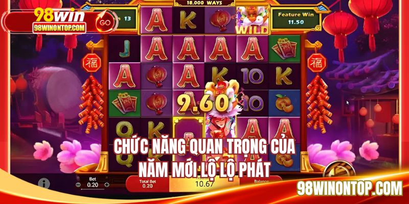 Chức năng quan trọng của năm mới lộ lộ phát